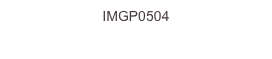 IMGP0504