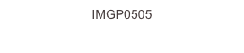 IMGP0505