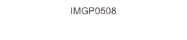 IMGP0508
